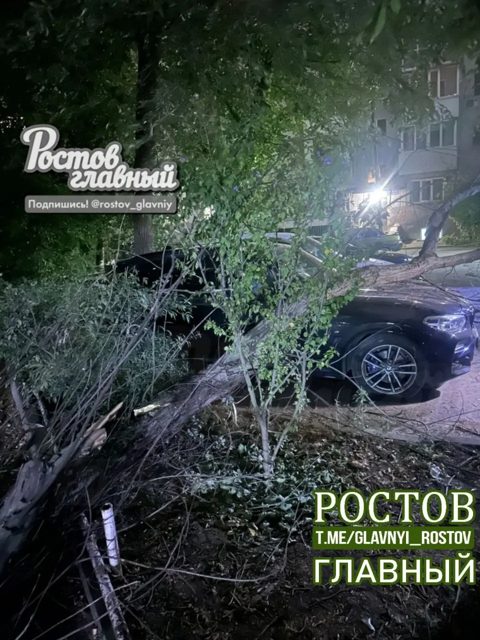 Ночью на улице Соколова произошло падение дерева. Три автомобиля повреждены; рядом с местом происшествия находится детская площадка, жильцы требуют оперативной реакции властей.