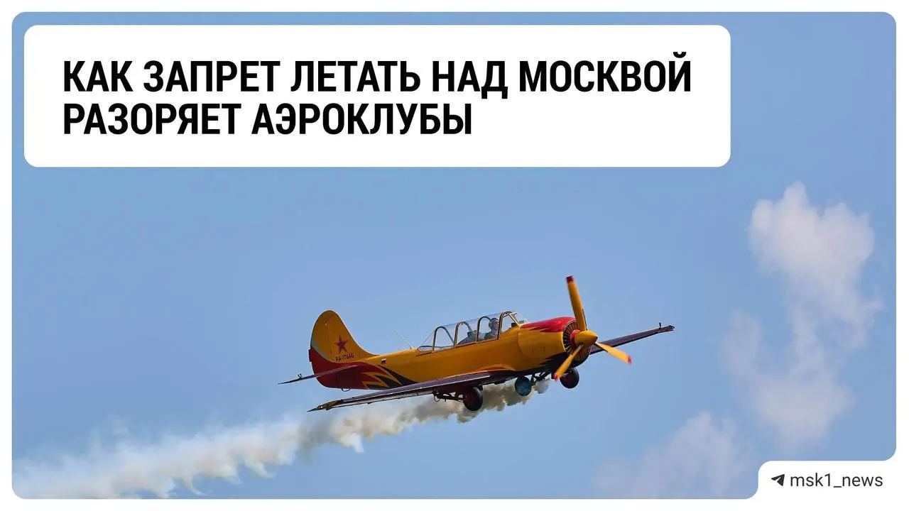 После введения ограничений аэроклубы Подмосковья терпят убытки и ждут продления запрета на полёты.