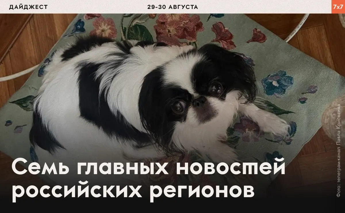 В выпуске — принуждение к физическим нагрузкам, аресты активистов и запреты на агитацию в разных регионах России.