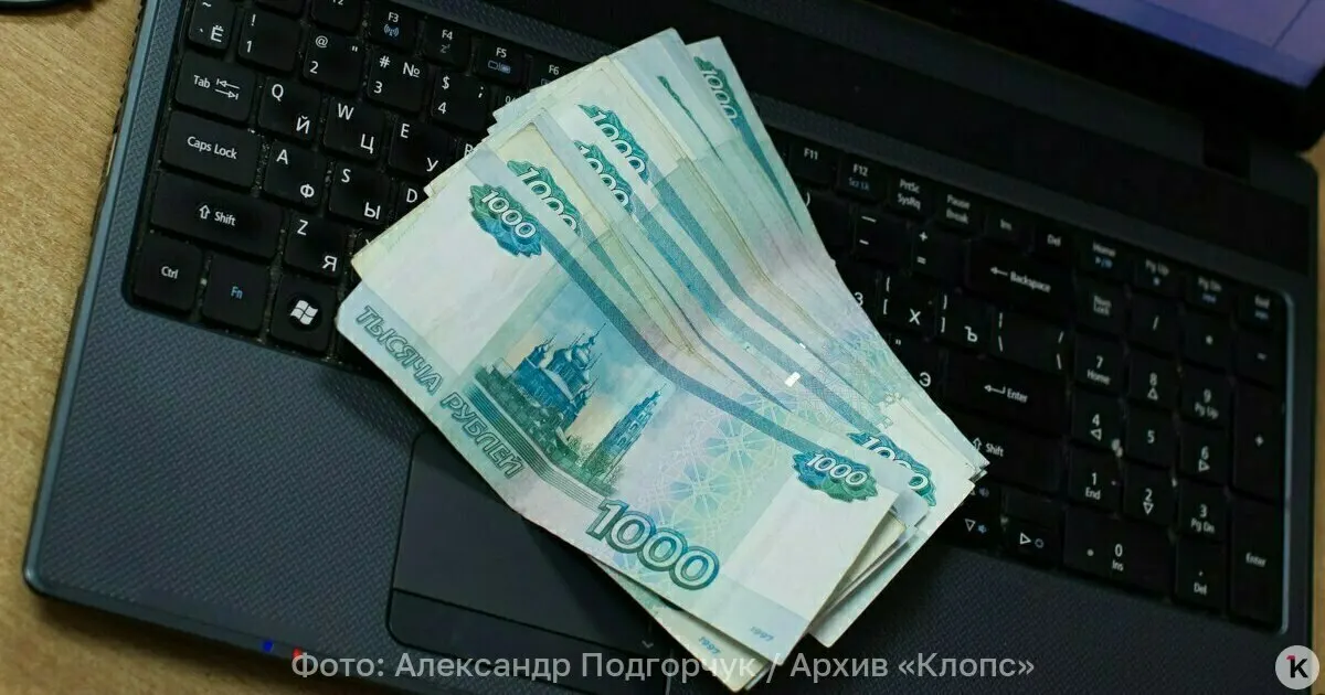 Рассматривается возможность появления долговечных банкнот из полимера после анализа опыта других стран и защиты от подделок, заявил член парламента.