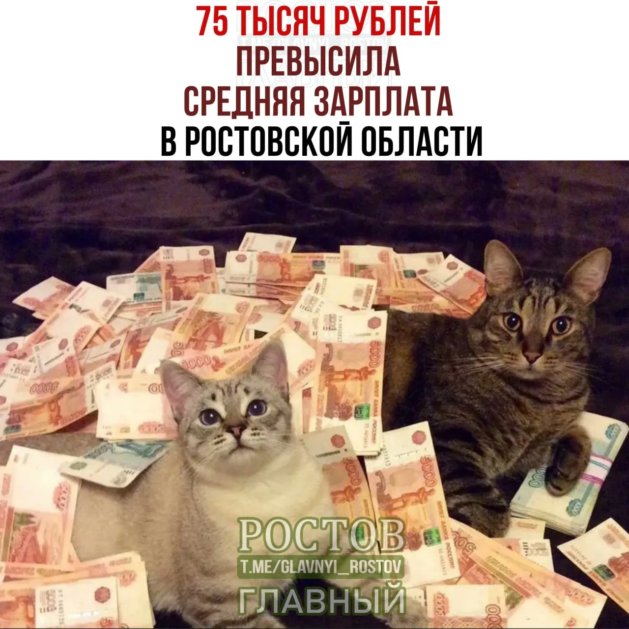 Ростовстат сообщил, что за январь–май 2026 года средняя начисленная зарплата в регионе составила 75,1 тыс. рублей, что на 14% выше годом ранее.