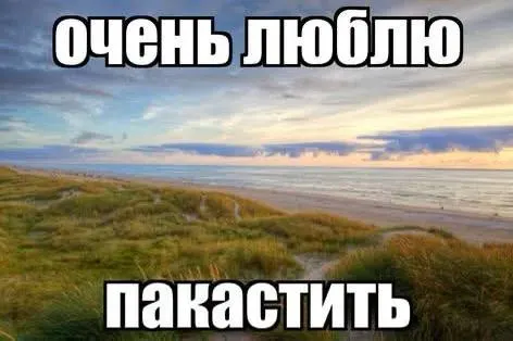 Днем температура достигнет около +31°C, порывы ветра до 7 м/с. Солнечно, осадков не ожидается — отличные условия для выходных.