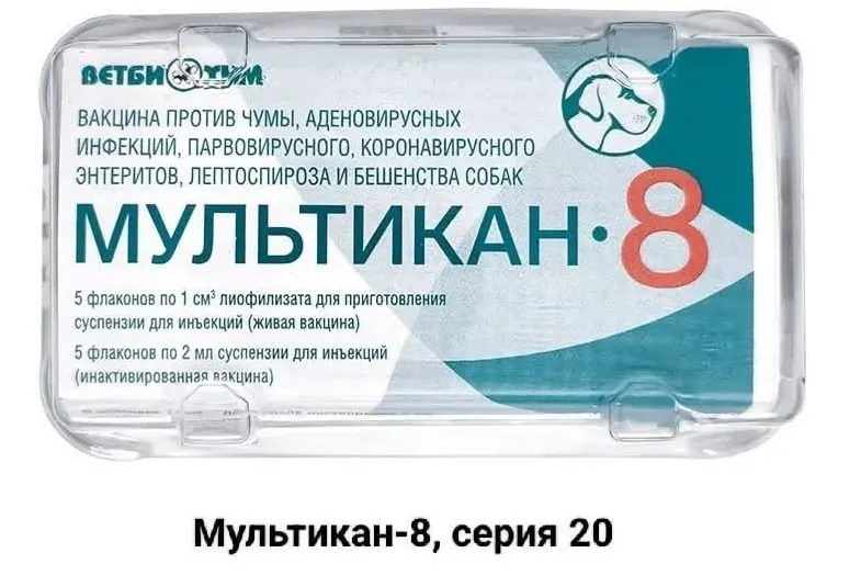 Хозяева собак, погибших после вакцинации препаратом «Мультикан‑8», призывают общество разобраться в причинах трагедии и провести независимые проверки.