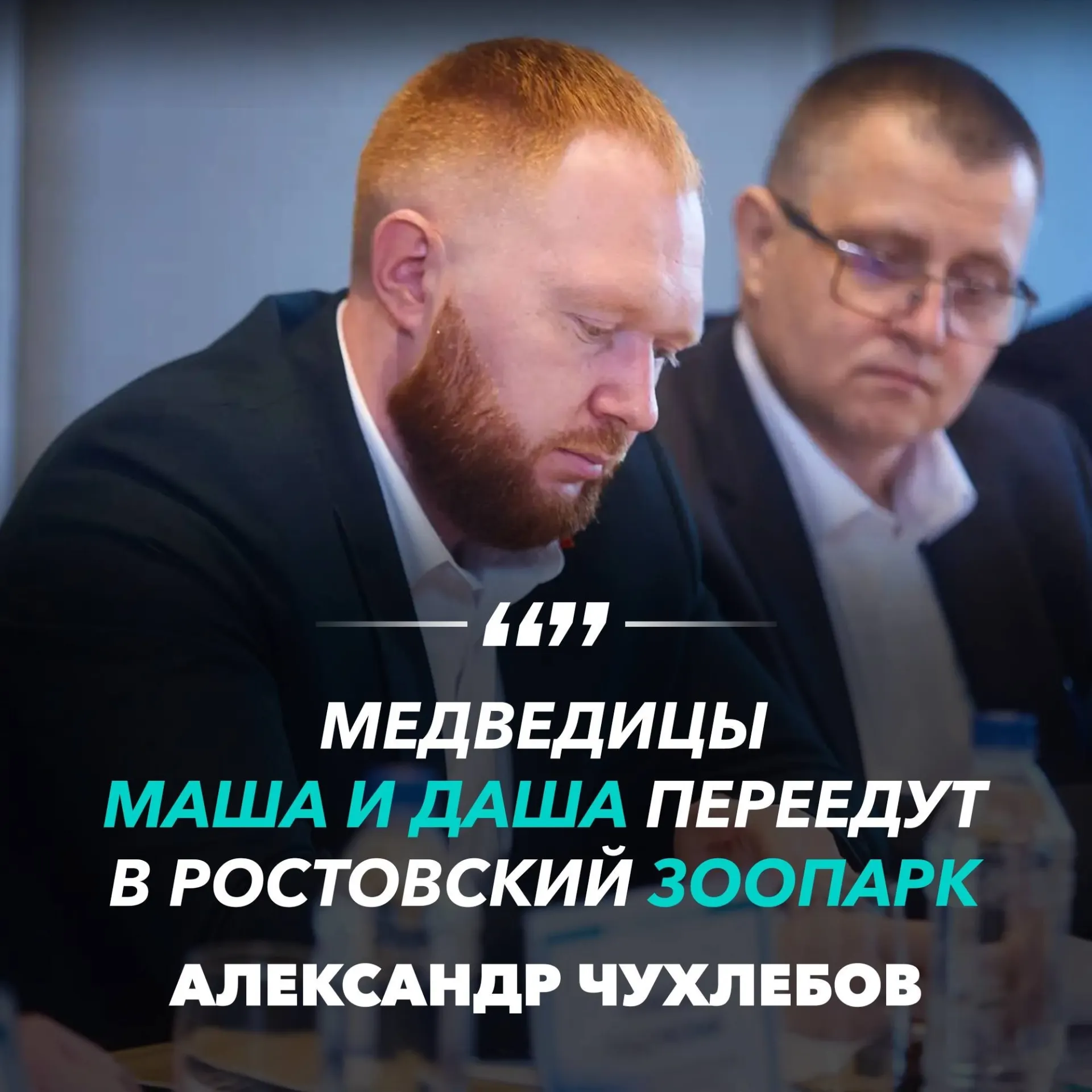После продолжительных переговоров две медведицы найдут новый дом в Ростовском зоопарке, где для них построят современный вольер.