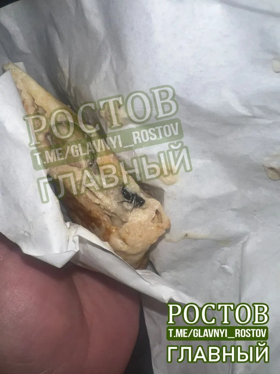 Читатель рассказал о случае обнаружения мухи в заказанном блюде и призвал проверить санитарные условия на кухнях.